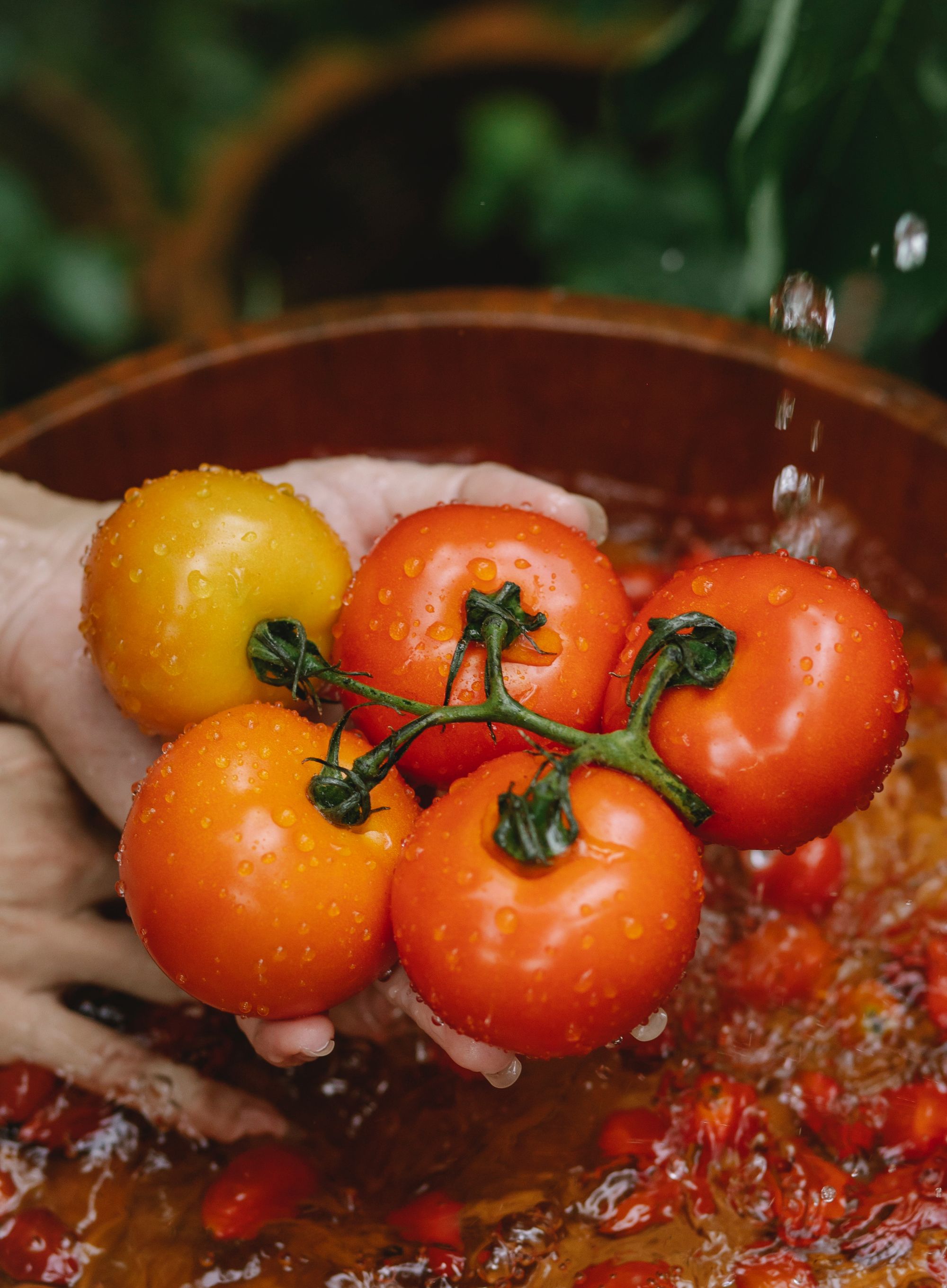 Wash as many tomatoes as you can get your hands on - Any Lane, Pexels