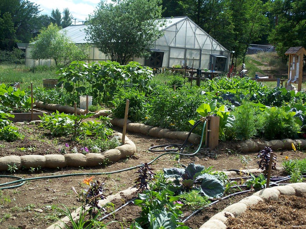 A view of the greenhouse and gardens of the Yreka Community Gardens - Flickr