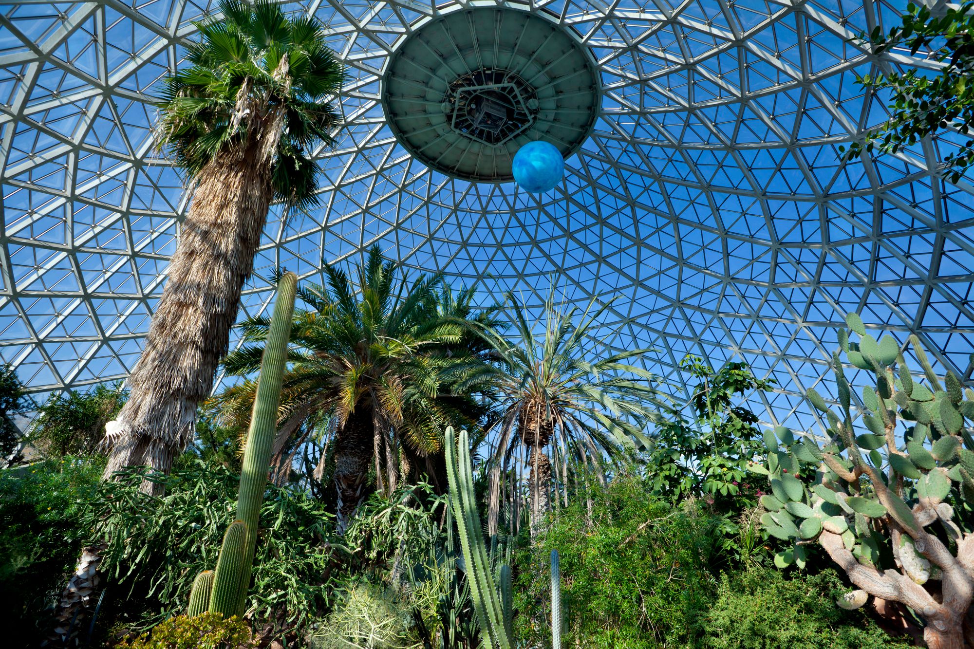 Tropica geodesic dome filled with palm trees and cactus - Aneese @iStockPhoto