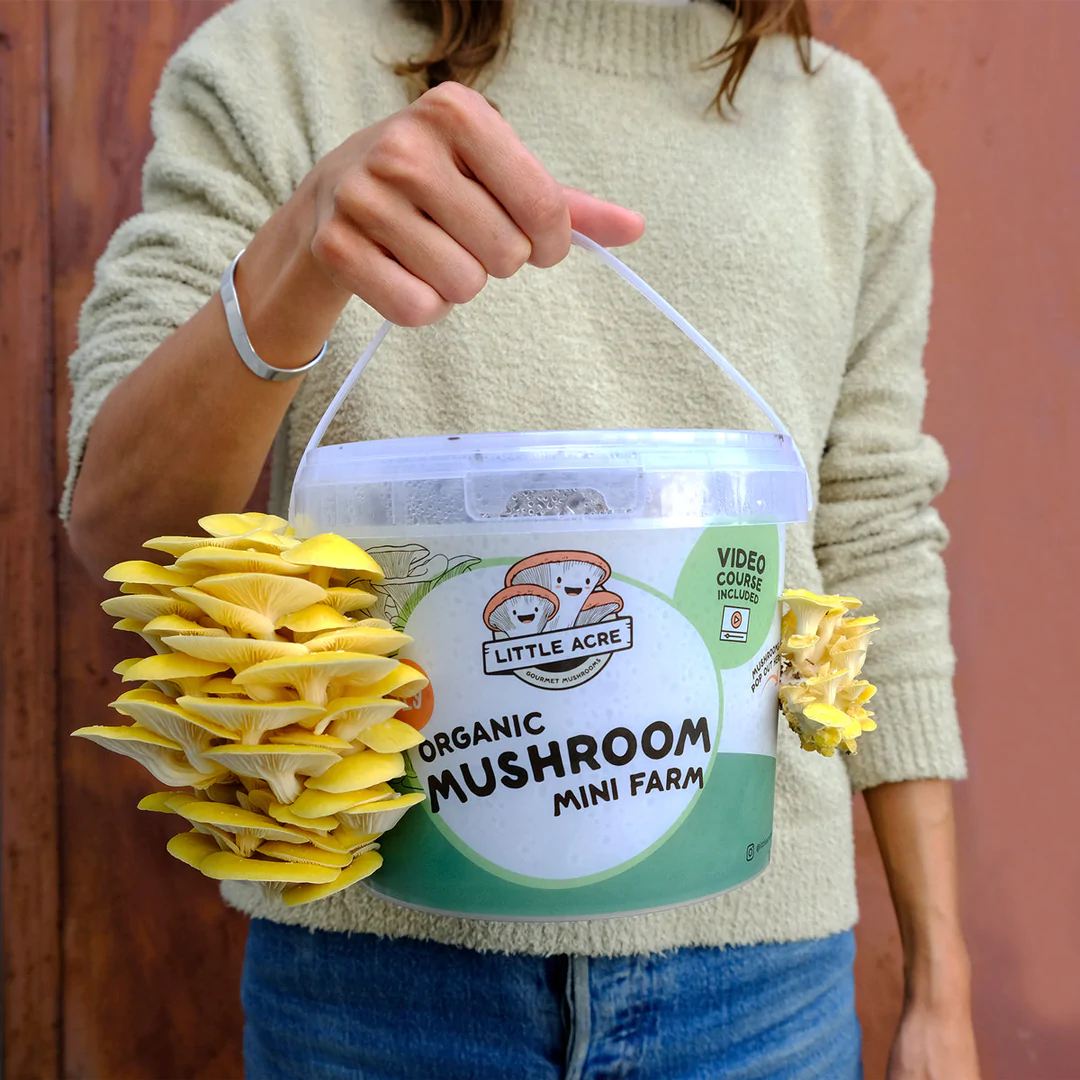 Lady carrying a small bucket with mushrooms sprouting out the sides.