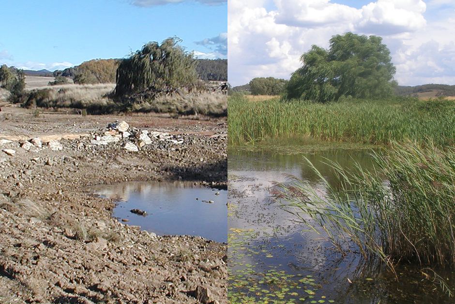 Before and after using regenerative practices on terrain exhausted from industrial agriculture - Integrate Sustainability