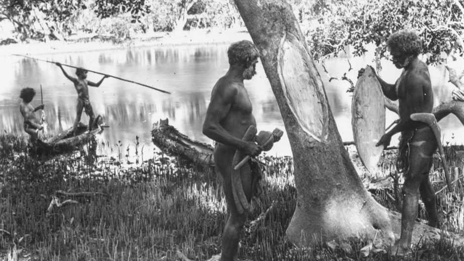 Communing with eucalytpus -Thomas Dick, 1920