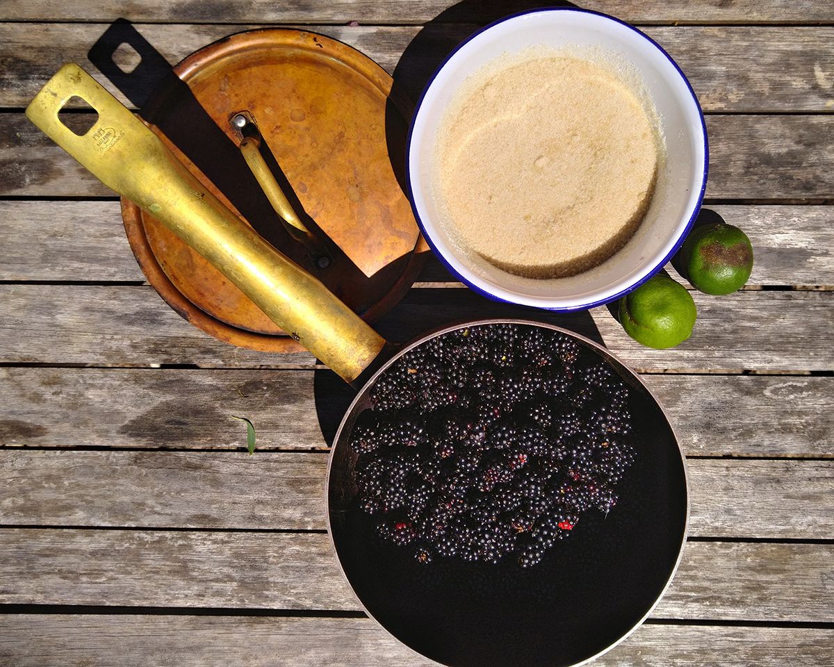 Three ingredients: blackberries, raw sugar, lemons or limes - Victoria Waghorn