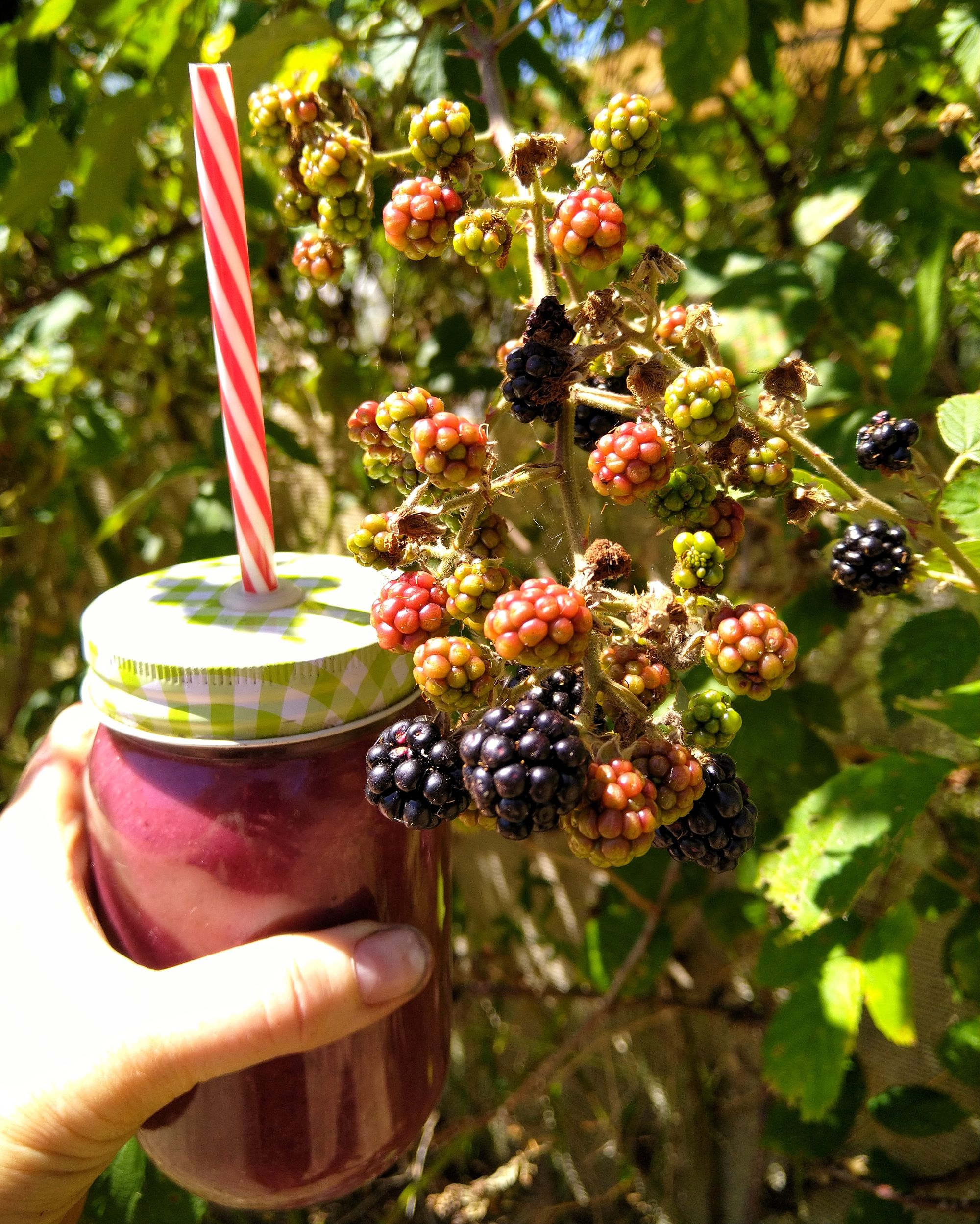 Back to the fruiting wall in the sun where it all began. Drink up! - Victoria Waghorn