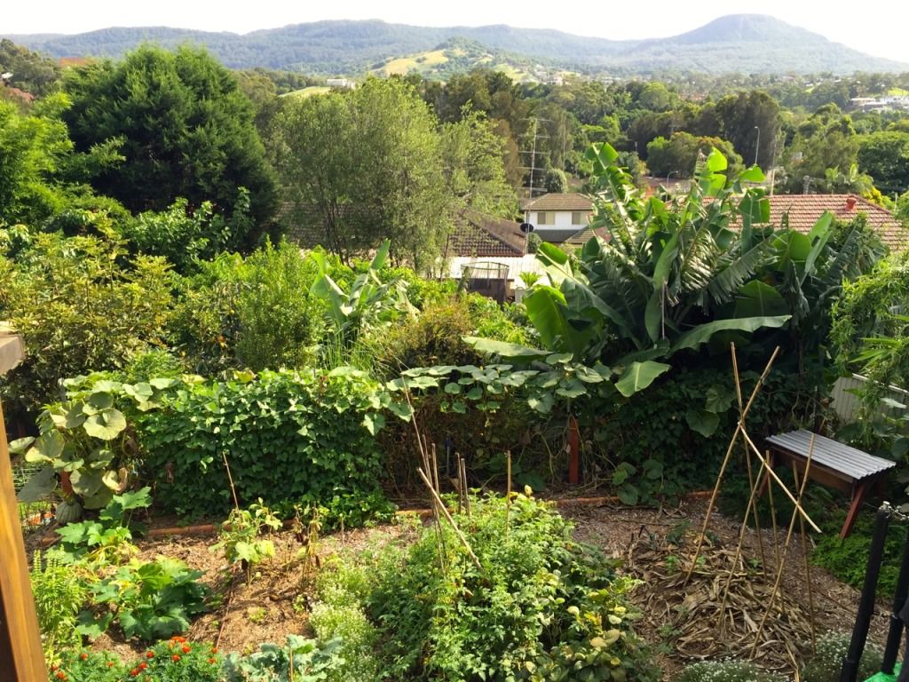 Embracing $calable food forests - forage close to home