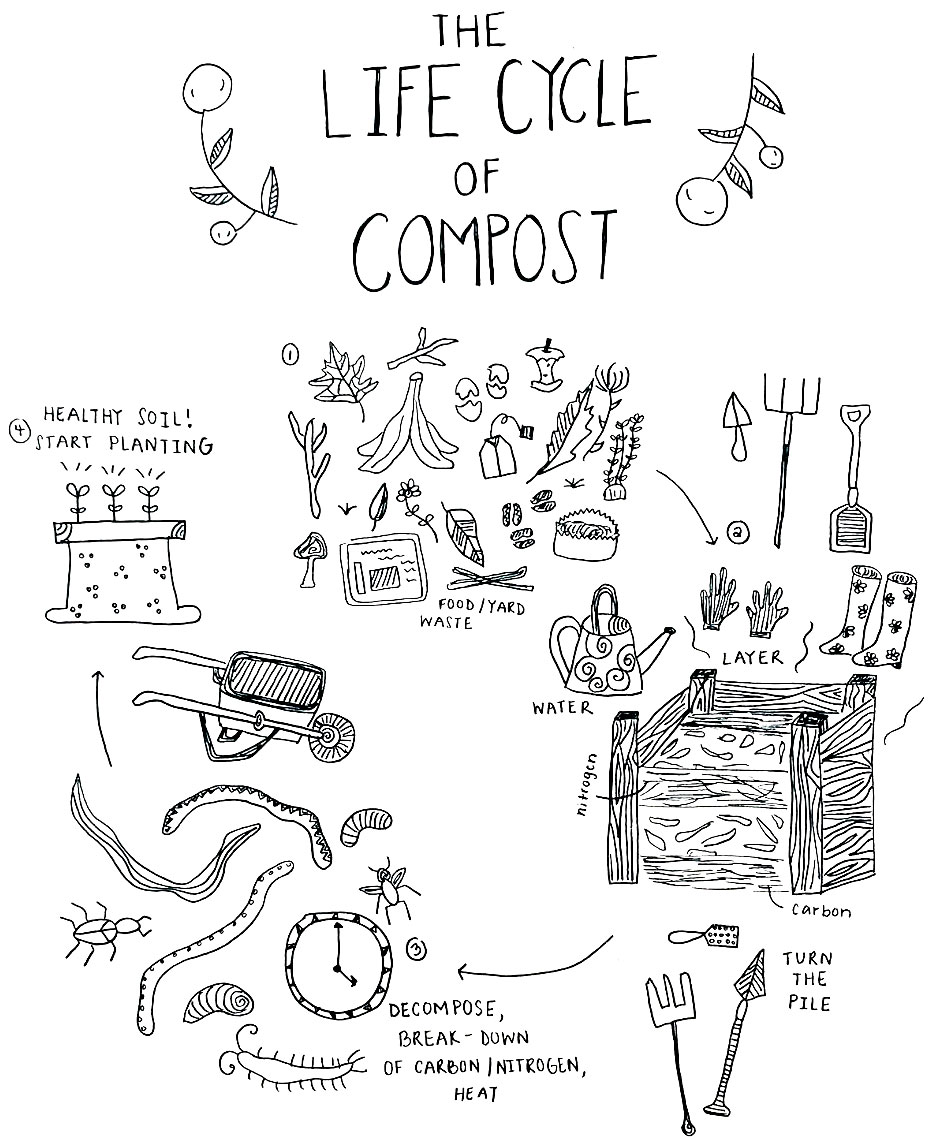 he Life Cycle of Compost (Source: Washington College, 2022