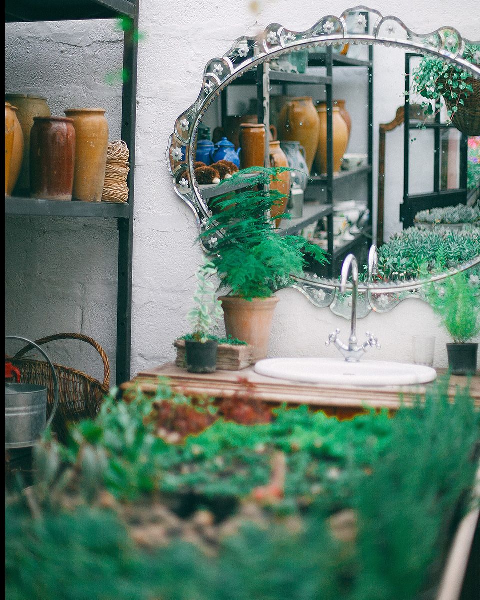 Apartment oasis - Indoor gardening for healthier happier homes