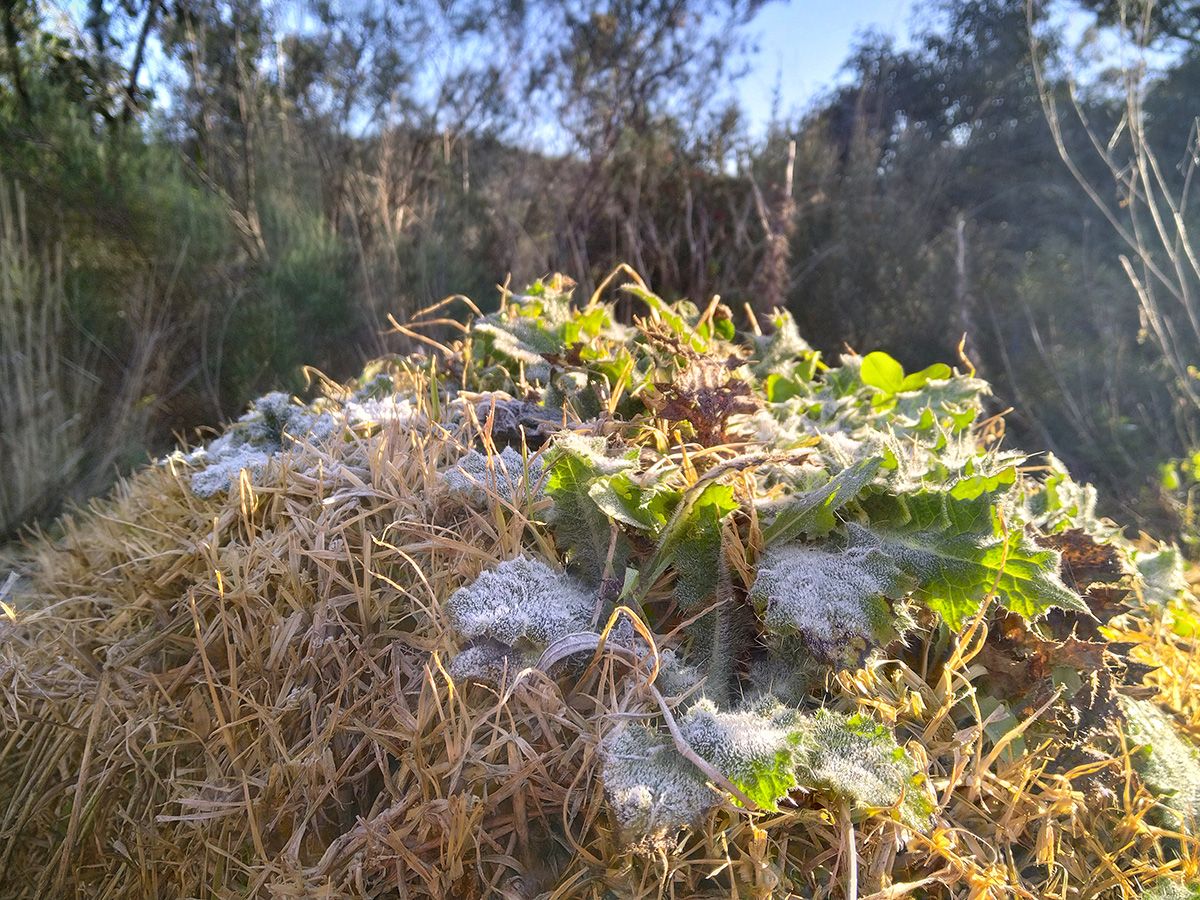 Winter composting: Staying hot downunder when it's cold outside