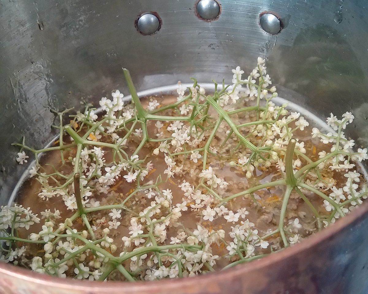 EAT WHAT YOU GROW - Elderflower cordial