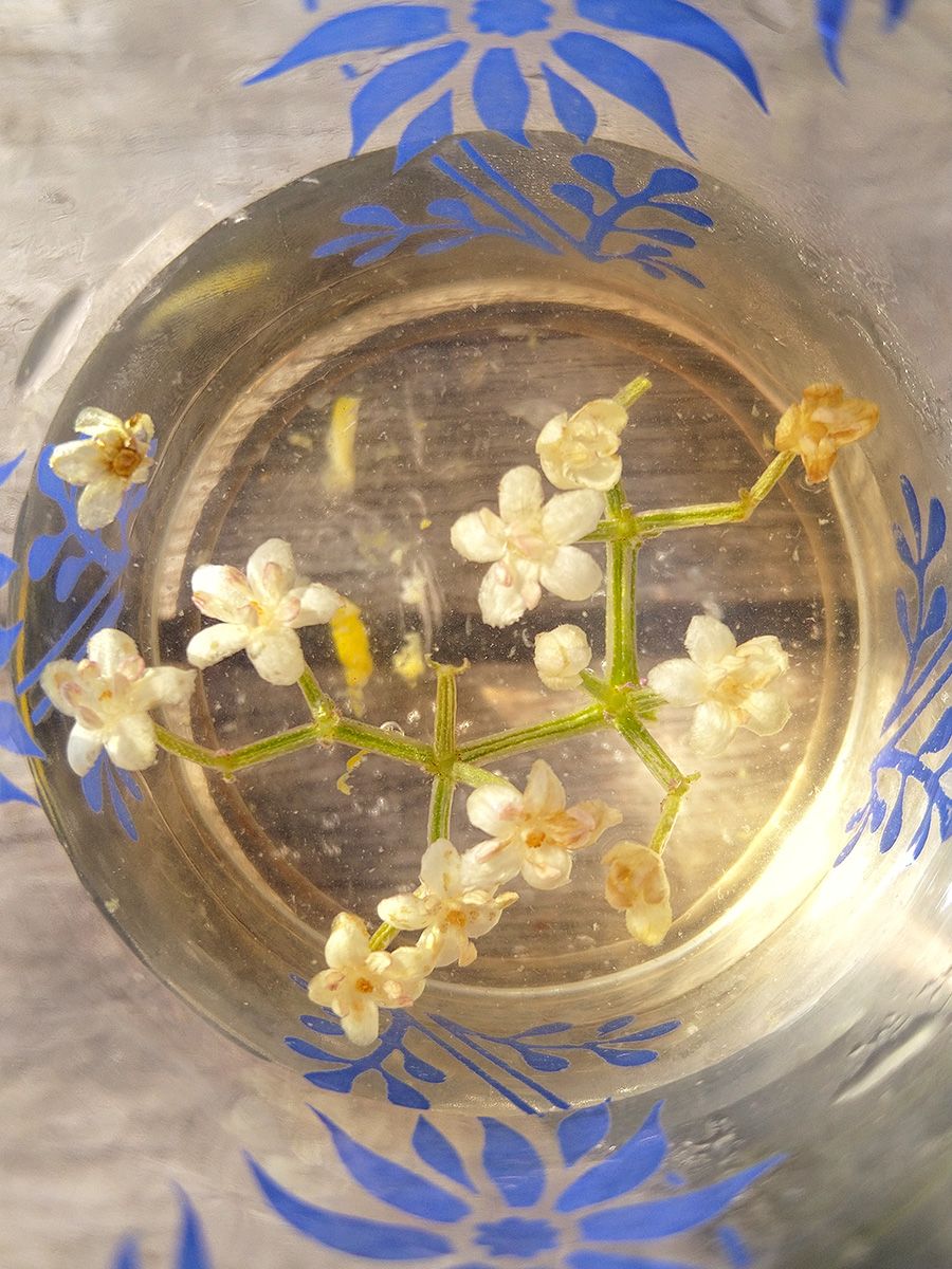 EAT WHAT YOU GROW - Elderflower cordial