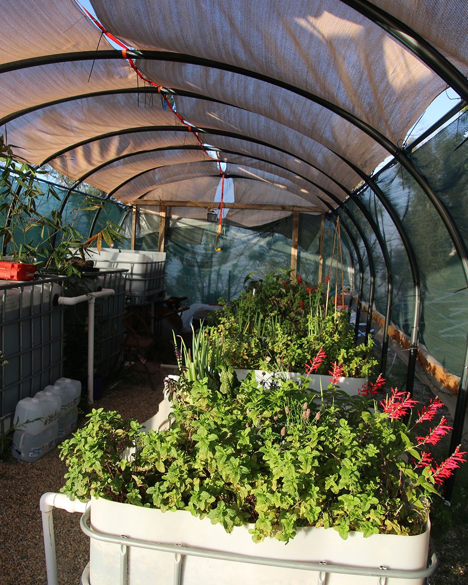 Scalable off-grid solar powered aquaponics system - Victoria Waghorn