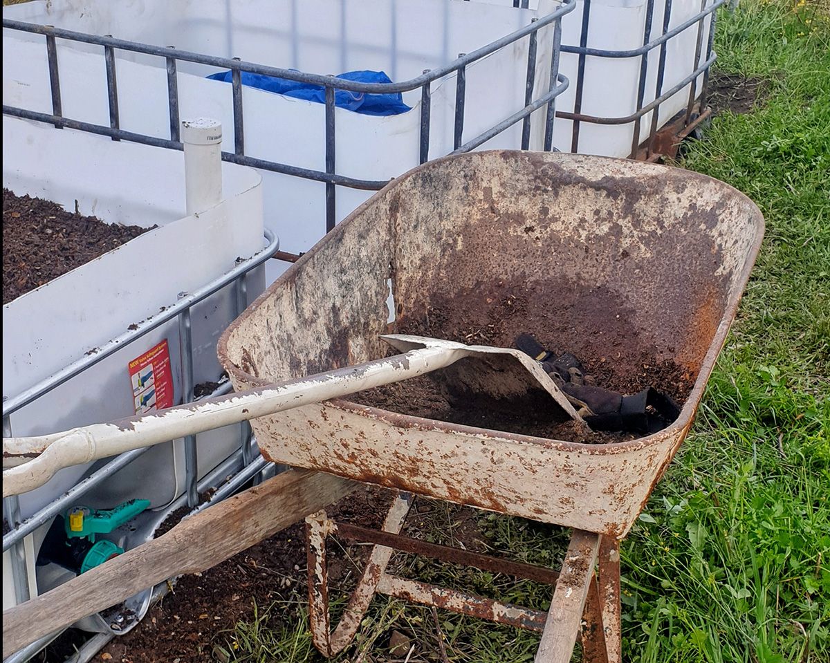 Upcycled IBC tanks make great backyard wicking beds - Victoria Waghorn