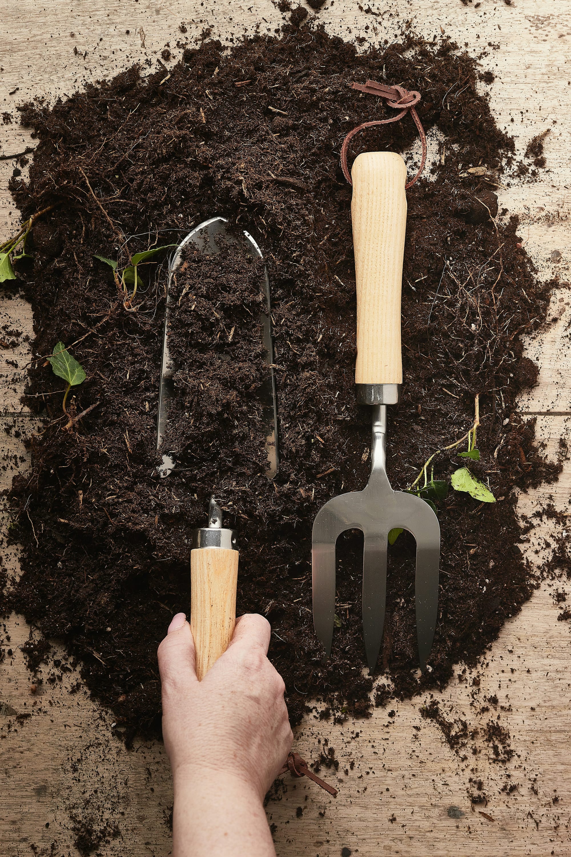 Apartment composting webinar